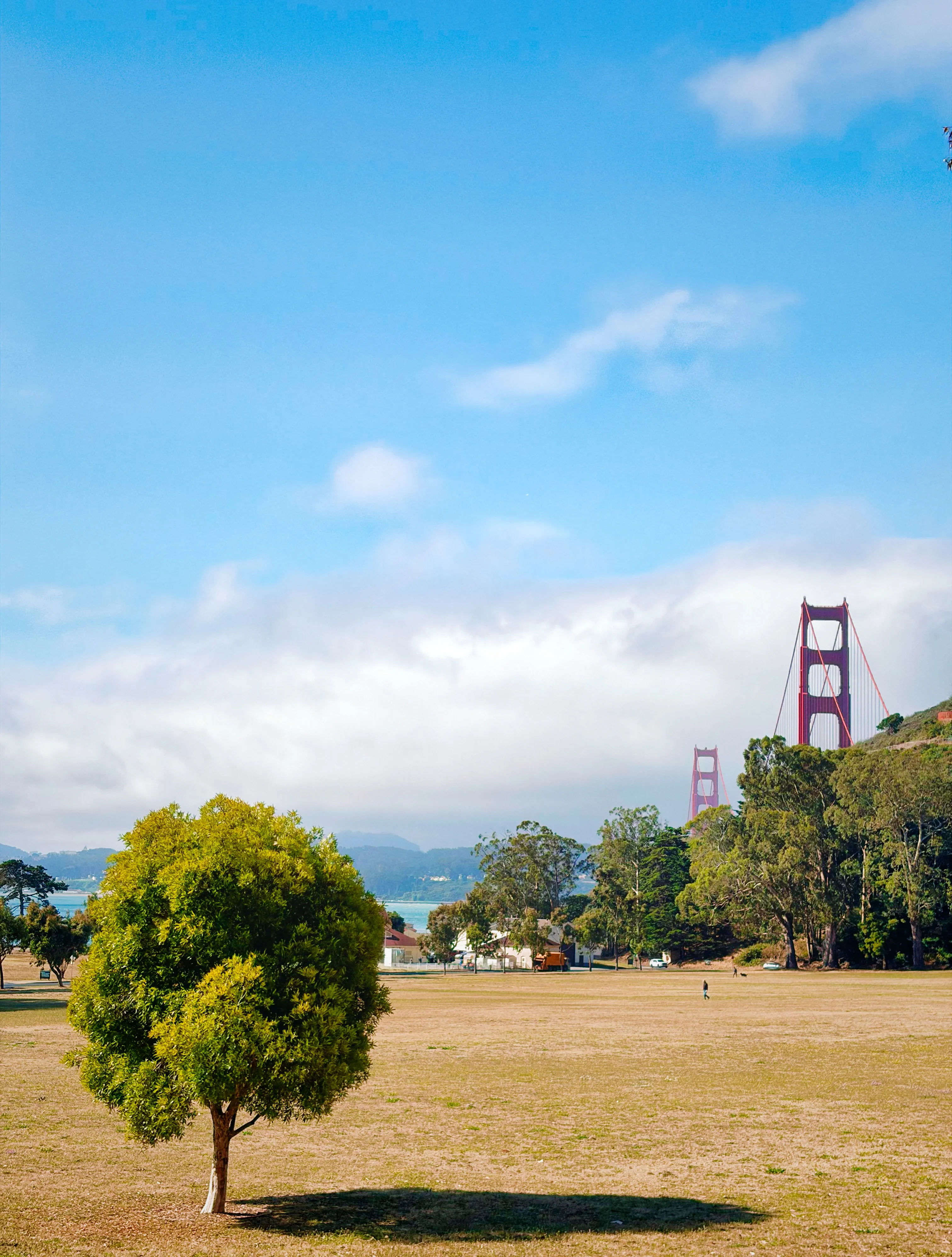 Cavallo Point